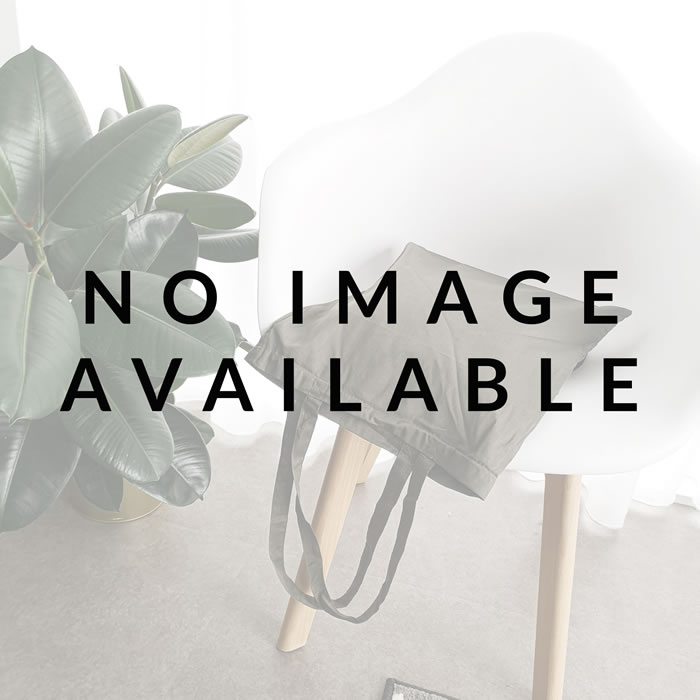 好立克原味 COPY2